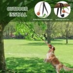 3pcs Interactive Dog Toys, Dog Tug of War Toy Tether Tug for Small and Medium Dogs, Dog Bungee Toy Tree Tugger Dog Toy for Indoor Outdoor, Orange - Image 4