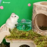 Niteangel Hamster Feeding & Water Bowl: - Mount Fuji Series Glass Drinking Bowls for Dwarf Syrian Hamsters Gerbils Mice Rats or Other Similar-Sized Small Pets (Green, 50 ml) - Image 4