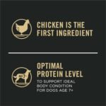 Purina Pro Plan Dry Dog Food, Complete Essentials Shredded Blend Adult 7+ Chicken & Rice - 15.4 kg Bag (1 Pack) - Image 7