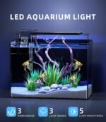 5 Gallon Fish Tank Aquarium Kit with Filter, LED Light with Timer, Siphon Vacuum Cleaner, Lid, Self-Cleaning Glass Rimless Betta Tank - Image 3