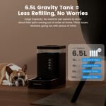 Garnder Pet 6.5L Automatic Dog Water Dispenser with Stainless Steel Bowl, Large Capacity Gravity Dog Water Bottle with Filter, BPA-Free, No Noise, Stable and Spill-Resistant, Easy to Clean, Black - Image 3