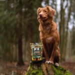 Hulk Pet 6-inch Bully Sticks for Dogs (Pack of 10) 225g Natural Scent & Long Lasting Dog Dental Chew Made of Beef Pizzle Sourced from Grass-Fed Cattle with No Artificial Flavor or Preservative - Image 4