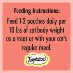 TEMPTATIONS Cat Treats, Adult Creamy Puree Lickables, Salmon, 12g Pouches (44 Pack) - Image 6