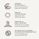 Crumps’ Naturals Original Plaque Busters, 7”- 10 Pack - Image 5