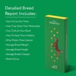 DNA My Dog Trusted & Affordable Breed Identification Test | 350+ Breeds Identified with 99%+ Accuracy | Complete Breed Analysis, Personality and Behavior Insights | Easy Cheek Swab, Results in 2 Weeks - Image 3