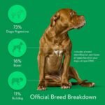 DNA My Dog Trusted & Affordable Breed Identification Test | 350+ Breeds Identified with 99%+ Accuracy | Complete Breed Analysis, Personality and Behavior Insights | Easy Cheek Swab, Results in 2 Weeks - Image 4