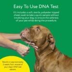 DNA My Dog Trusted & Affordable Breed Identification Test | 350+ Breeds Identified with 99%+ Accuracy | Complete Breed Analysis, Personality and Behavior Insights | Easy Cheek Swab, Results in 2 Weeks - Image 5