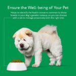 DNA My Dog Trusted & Affordable Breed Identification Test | 350+ Breeds Identified with 99%+ Accuracy | Complete Breed Analysis, Personality and Behavior Insights | Easy Cheek Swab, Results in 2 Weeks - Image 6