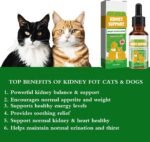 Kidney Support for Dogs & Cats, Natural Kidney Support Herbal Supplement Drops for Dog Cat, 60ML (1PCS) - Image 3
