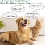 Kidney Support for Dogs & Cats, Natural Kidney Support Herbal Supplement Drops for Dog Cat, 60ML (1PCS) - Image 5