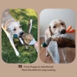 FukuPets Interactive Dog Toy, Makes Noise That Mimics Real Animal Noise, Premium Quality, Soft & Plush Toy, Large, Duck - Image 5