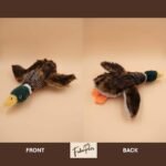 FukuPets Interactive Dog Toy, Makes Noise That Mimics Real Animal Noise, Premium Quality, Soft & Plush Toy, Large, Duck - Image 6