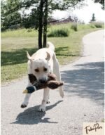 FukuPets Interactive Dog Toy, Makes Noise That Mimics Real Animal Noise, Premium Quality, Soft & Plush Toy, Large, Duck - Image 7