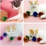 PET SHOW 20 Pcs Cat Crinkle Toy Ball 2.5inch Mylar Cat Pounce Chase Toys Colorful Paper Ball Chase Training Activity for Cats Kittens - Image 6