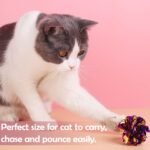 PET SHOW 20 Pcs Cat Crinkle Toy Ball 2.5inch Mylar Cat Pounce Chase Toys Colorful Paper Ball Chase Training Activity for Cats Kittens - Image 8