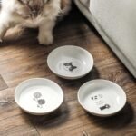 6 Ceramic Cat Bowls Set - 5.7 inch Cats Food Bowls Whisker Fatigue Friendly, Wide Cat Plates with Cute Pattern for Wet and Dry Food Water - Image 6