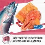 Beyond Grain Free Natural Dry Cat Food, Indoor Cat Wild-Caught Salmon & Egg - 2.26 kg Bag - Image 5