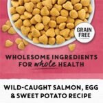 Beyond Grain Free Natural Dry Cat Food, Indoor Cat Wild-Caught Salmon & Egg - 2.26 kg Bag - Image 10