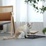 FUKUMARU Elevated Cat Ceramic Bowls, Small Dog 15° Tilted Raised Food Feeding Dishes, Solid Bamboo Water Stand Feeder Set for Cats and Puppy - Image 8