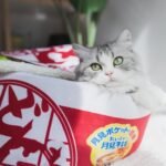 Funny Ramen Cat Bed Instant Noodle Shape Pet Sofa Winter Pet Sleeping Bag Pet Nest for Small Cats and Dogs - Image 3