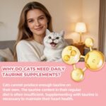 Just Try 20 Tubes Creamy Purée Lickable Cat Treats for Kittens with DHA, EPA, Vitamin E & Taurine, 0.5 Ounces Each - Image 9