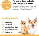 Vet Classics Cranberry Comfort Urinary Tract Pet Supplement for Dogs, Cats – Maintains Dog Bladder Health, Cat Bladder Control – Pet Supplements for Incontinence – 120 Soft Chews - Image 6