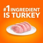 IAMS Proactive Health Sensitive Digestion & Skin Adult Dry Cat Food – Turkey – 2.72KG (5.9LB) Bag - Image 5