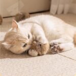 Rabbit Fur Ball Cat Toy, 3.9in Real Rabbit Cat Pom Pom Ball, Interactive Cats Toy with Catnip, Soft Fluffy Balls Toys for Indoor Cats Exercise - Image 7