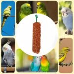 Parakeet Treats Sticks - 2 Pieces Nutritious Bird Snacks, Chewing and Foraging Food | Training Reward Treats for Parrot, Myna, Finch, Conure, Cockatiel, Small Pet Bird, Healthy Snack for Daily Feeding - Image 4