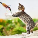 Cat Teaser Toys 4pcs Feather Teaser Cat Toy with Bell Tassels Feather Toy Wand Interactive Catcher for Kitten (Random Color) Interactive - Image 8