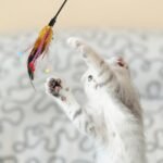 Cat Teaser Toys 4pcs Feather Teaser Cat Toy with Bell Tassels Feather Toy Wand Interactive Catcher for Kitten (Random Color) Interactive - Image 9