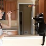 Cat Teaser Toys 4pcs Feather Teaser Cat Toy with Bell Tassels Feather Toy Wand Interactive Catcher for Kitten (Random Color) Interactive - Image 10