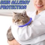 4 PCS Cats Collars- Adjustable Waterproof Collar 38CM Suitable for Small, Medium and Large Cats(Blue) - Image 5