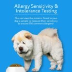 DNA MY DOG – Vet-Recommended & Accurate Allergy Test for Itchy, Sensitive Dogs | Cheek Swab – Gold Standard Testing | Tests Common Food & Environmental Allergens | Custom Report with Recommendations - Image 3