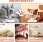 Koala No Stuffing Dog Toys for Large Dogs, Squeaky Crinkle Interactive Dog Animals Toys, Plush Teething Toys to Keep Them Busy, Cute Funny Dogs Gifts for Small Medium Large Breed - Image 4