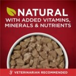 Purina ONE Tender Cuts True Instinct Wet Dog Food, in Gravy with Beef & Bison - 368 g Can (12 Pack) - Image 9