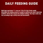 Purina ONE Tender Cuts True Instinct Wet Dog Food, in Gravy with Beef & Bison - 368 g Can (12 Pack) - Image 11