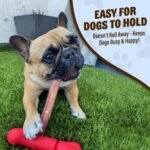 GoSports Chew Champ Bully Stick Holder for Dogs - Securely Holds Bully Sticks to Help Prevent Choking - 6 in or 8 in Size - Image 5