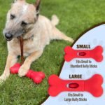 GoSports Chew Champ Bully Stick Holder for Dogs - Securely Holds Bully Sticks to Help Prevent Choking - 6 in or 8 in Size - Image 6