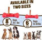 GoSports Chew Champ Bully Stick Holder for Dogs - Securely Holds Bully Sticks to Help Prevent Choking - 6 in or 8 in Size - Image 7