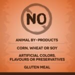 Zoë Dry Dog Food, Small Breed, Turkey/Chickpea/Sweet Potato Recipe, 2 kg - Image 6