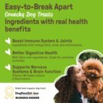 Cookie PAL Dog Treats with Pumpkin & Chia, Made in Canada, Human Grade USDA Organic Biscuits, Crunchy Dog Training Treats, 300g (Pk of 3) - Image 4