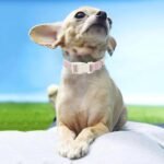 Cotton Hemp Dog Collar Adjustable, Pink Dog Collar Soft Natural Fabric with Quick Release, Cute Wedding Puppy Necklace for Small Medium Large Dog, Pink-S - Image 5