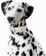 Cotton Hemp Dog Collar Adjustable, Pink Dog Collar Soft Natural Fabric with Quick Release, Cute Wedding Puppy Necklace for Small Medium Large Dog, Pink-S - Image 7