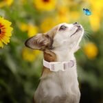 Cotton Hemp Dog Collar Adjustable, Pink Dog Collar Soft Natural Fabric with Quick Release, Cute Wedding Puppy Necklace for Small Medium Large Dog, Pink-S - Image 10