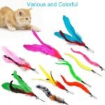Feather Teaser Cat Toy, 2PCS Retractable Cat Wand Toys and 10PCS Replacement Teaser with Bell Refills, Interactive Catcher Teaser and Funny Exercise for Kitten or Cats - Image 7