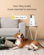 Furbo 360° Dog Camera: Pet Security Cam w/Barking Alerts, Rotating View, Treat Toss w/Phone App, Smart Home Puppy Monitoring, 2-Way Speaker, No Subscription Needed. Standard See, Talk, & Toss Features - Image 6