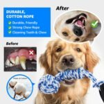 LOOBANI Spring Pole Dog Rope Toys - Tug of War Dog Toy for Pitbull Medium to Large Dogs, Indoor Outdoor Use Bungee Hanging Exercise Ropes Muscle Builder Interactive Toys (Door Hanging Style) - Image 4