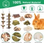 KATUMO Rabbit Chew Toys, 74 PCS DIY Hamster Chew Toys Bunny Teeth Care Molar Kit Ideal for Rabbit, Guinea Pig, Chinchilla, Hamster, Squirrel, Gerbils Etc Small Rodent Pets' Teeth Grinding - Image 5