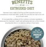 Living World Canadian Extrusion Guinea Pig Food - 600g - Image 4